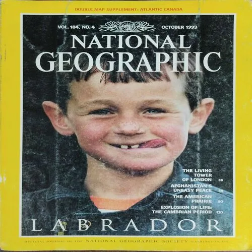 National Geographic  ()                                                                             National Geographic  ()