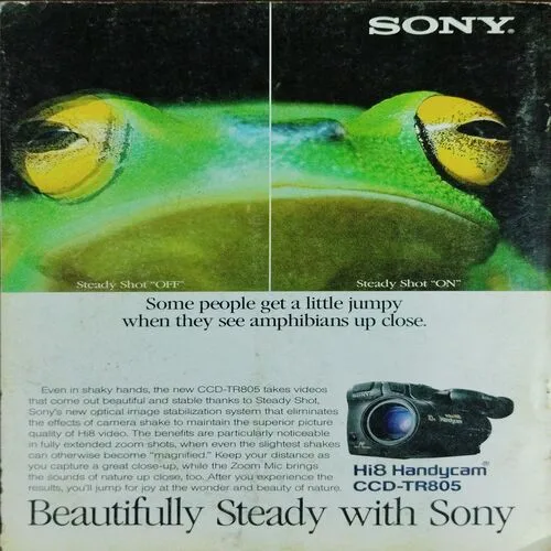 National Geographic  (February 1993)