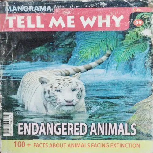 Tell Me Why (No.49)