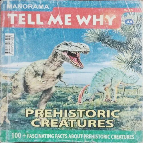 Tell Me Why (No.44)