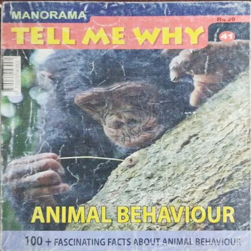 Tell Me Why (No.41)