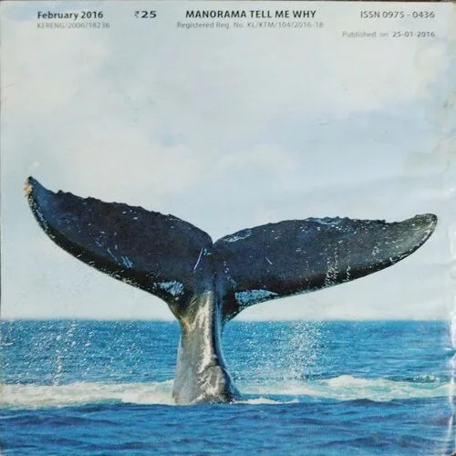 Tell Me Why (No.113,February 2016)