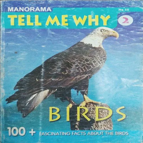 Tell Me Why ()