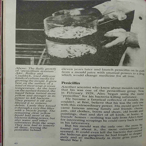 Alexander Fleming (Total Pages = 64)
