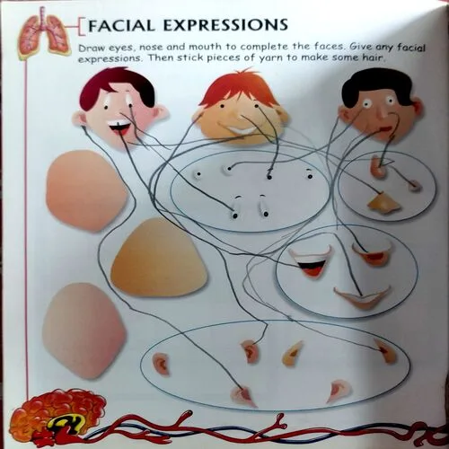 Human Body