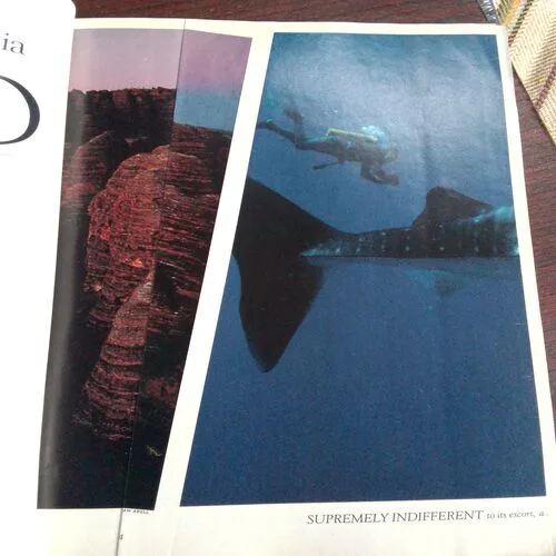 National Geographic  (January 1991) Vol.179, No.1