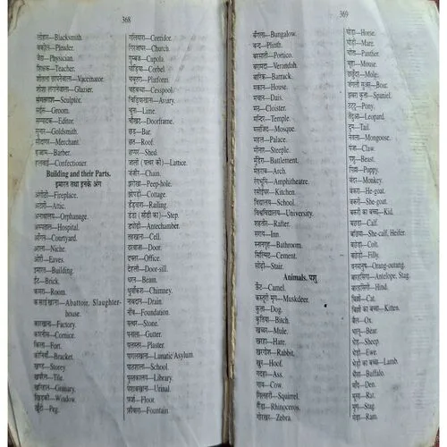 Pocket Dictionary ( Total Pages =384 )
