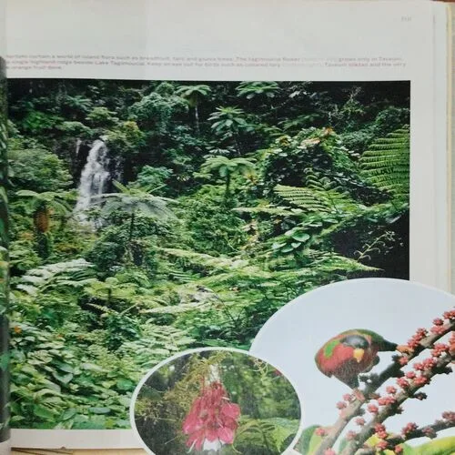 National Geographic  (May 2019)