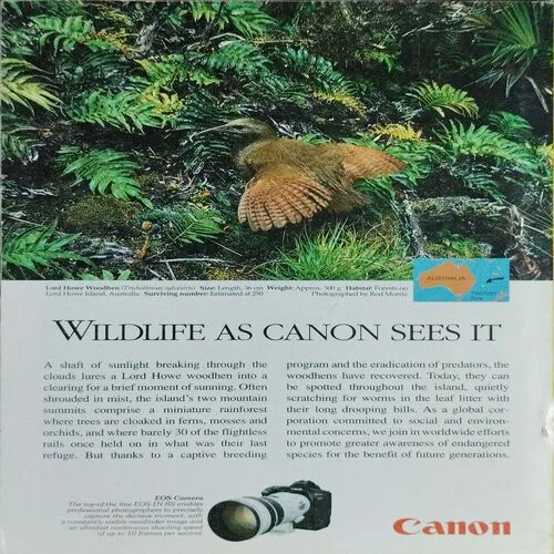 National Geographic  (April 1996, Vol.189,No.4)