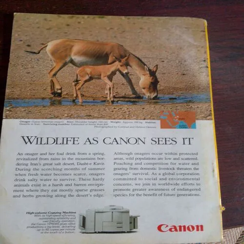 National Geographic  (April 1998) Vol.193, No.4
