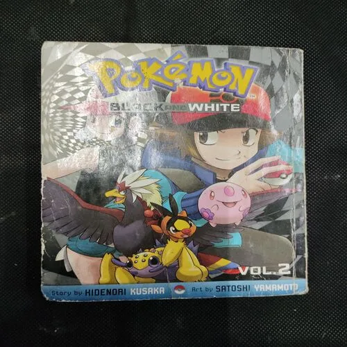 POKEMON BLACK AND WHITE