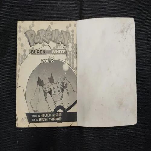 POKEMON BLACK AND WHITE
