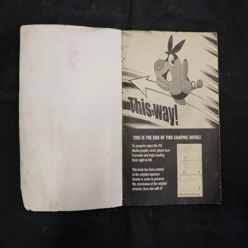 POKEMON BLACK AND WHITE