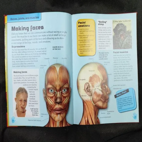 Great Junior Encyclopedia ( Human Body ) .