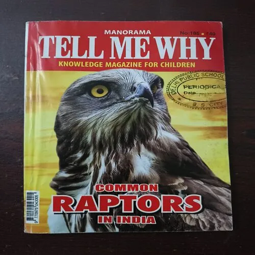 Tell Me Why ( February  2022 )