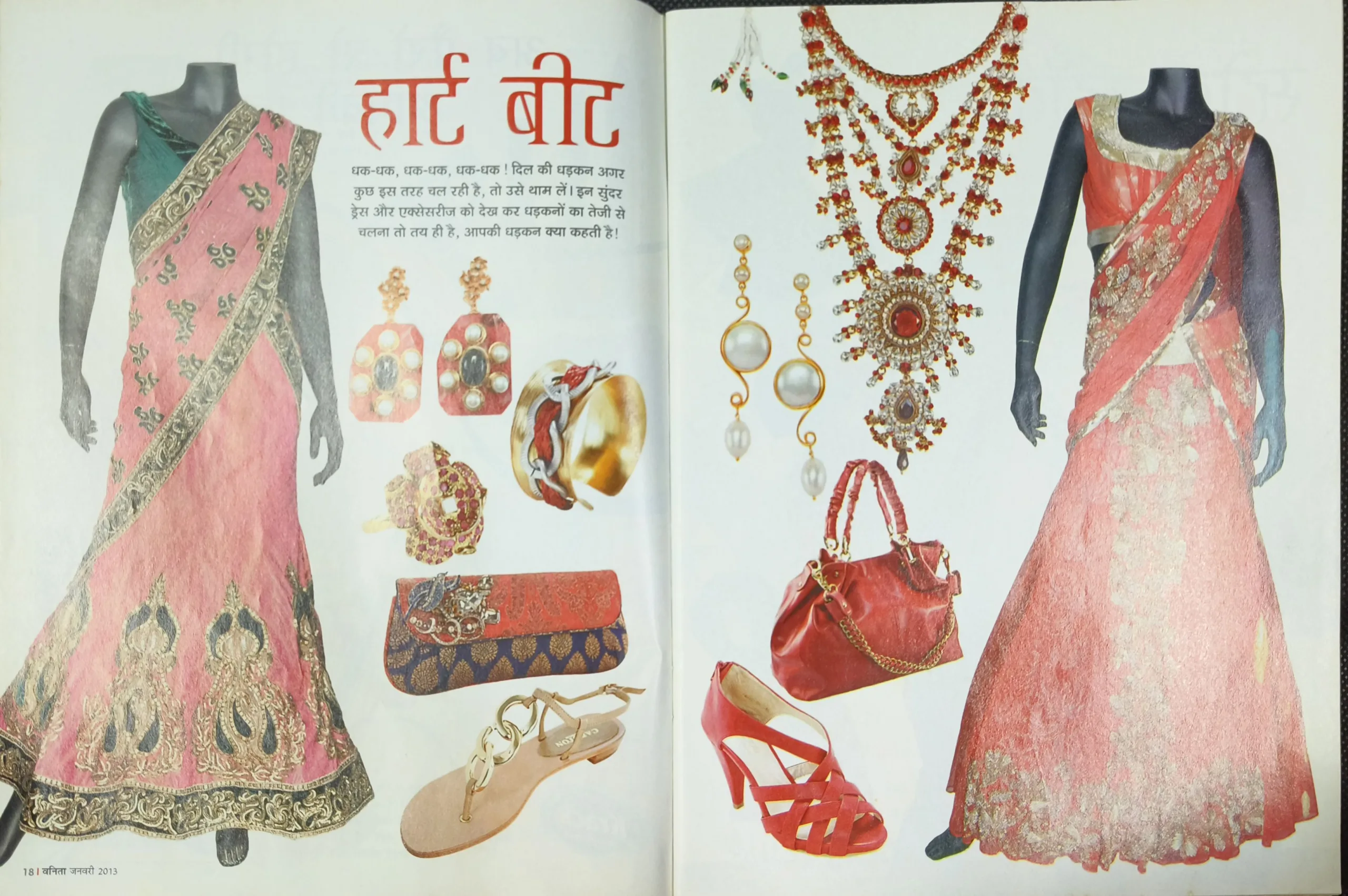 Vanita (January  2013)