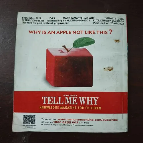 Tell Me Why (September 2022  )