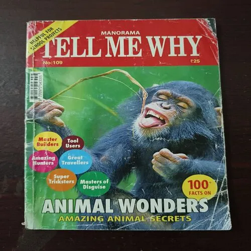 Tell Me Why (Octcber  2015 )