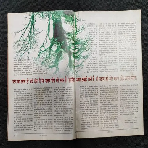 Document_86