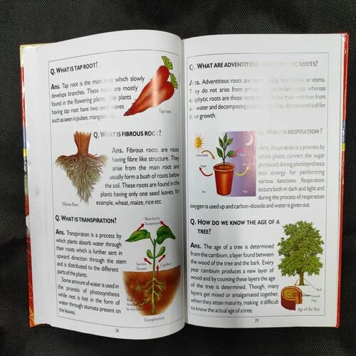 Big Book Of Knowledge .