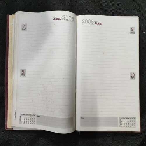 LIC Diary ( 2008 ) .