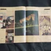 Document 15_28