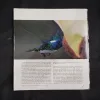 Document 17_65