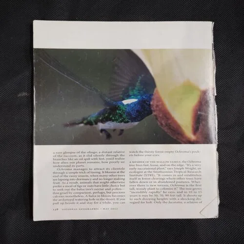 Document 17_65