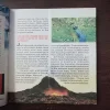 Document 29_29