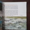 Document 29_32