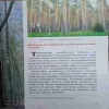 Document 2_31