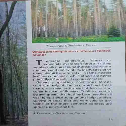 Document 2_31