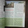 Document 31_77