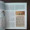 Document 31_92