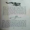Document 3_90