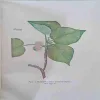Document 4_38