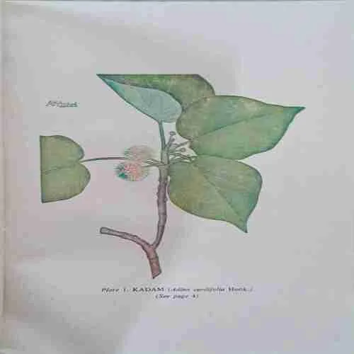 Document 4_38