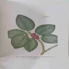 Document 4_39