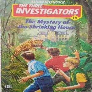 The Mystery of the shriking house