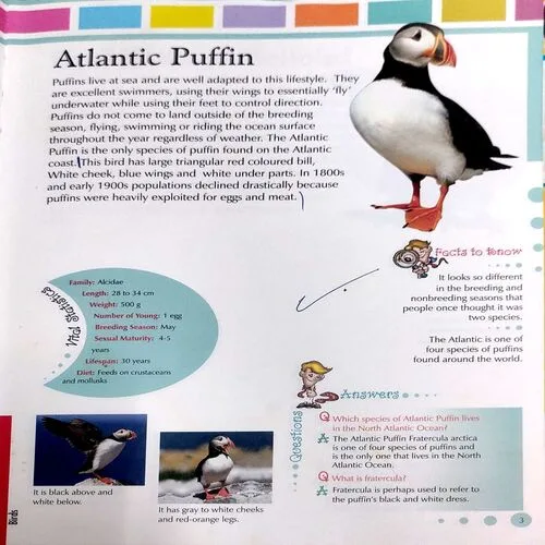 My First Book Of Birds (No. of page 80)