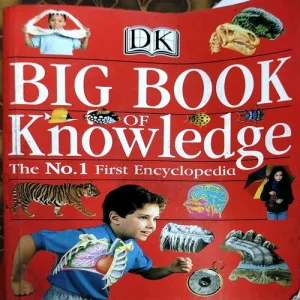 Big Book Of Knowledge (No. of pages 474)