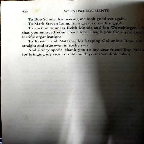 The Guilty  (No. of pages 420)
