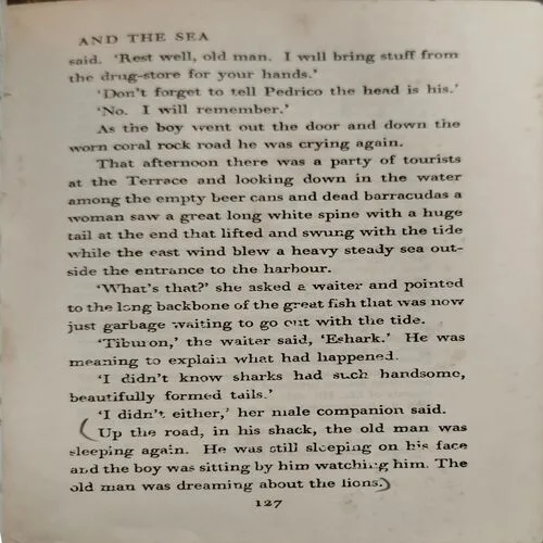 The Old Man and The Sea (No. of pages 128)