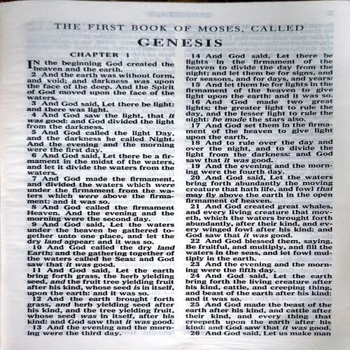 Holy Bible (No. of pages 1290)