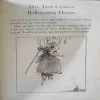 Document_11
