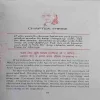 Document_11
