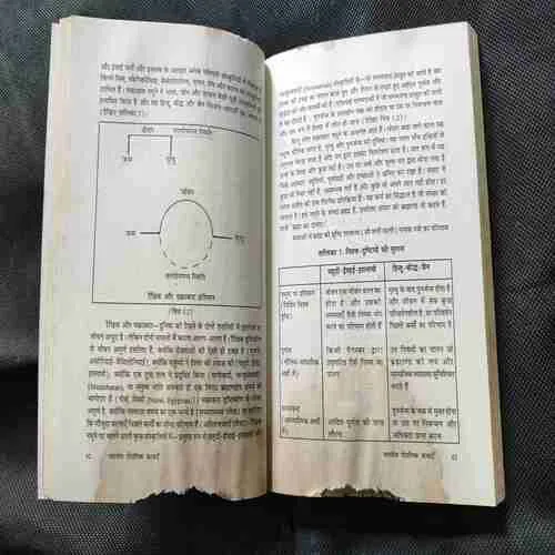 Document_17