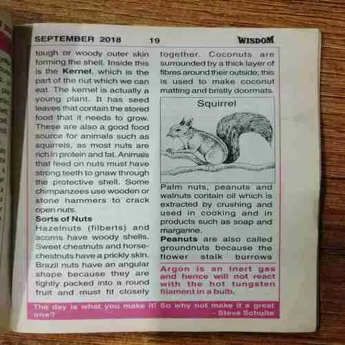 Document_176
