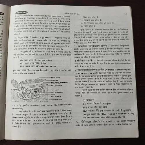 Document_2