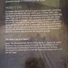 Document_20